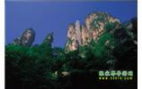 網絡熱門純玩游：張家界、天子山、袁家界、楊家界 自助三日游