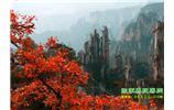 春節(jié)期間：張家界、天子山、金鞭溪自駕車精華精品游