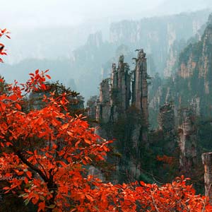 休閑自駕E線：張家界、袁家界、天子山、寶峰湖、鳳凰古城、沱江泛舟四晚五日游